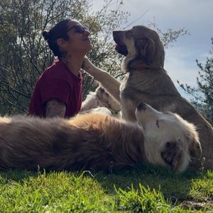 BretemasHotel, pet sitter in Moaña