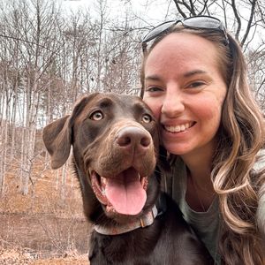 retrieversretreat