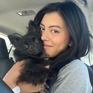 pawsitivelypomeranian