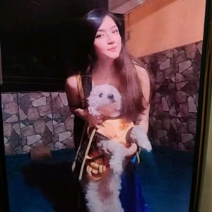 Dayanne Elizabeth, pet sitter in L'Hospitalet de Llobregat