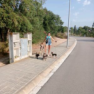 Jennifer, pet sitter in Barcelona