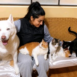 cats_lover26