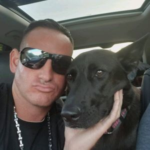 David Giglio, pet sitter in Mesa