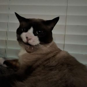 catastrophe