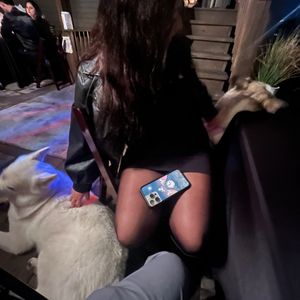 Aileen Serrato, pet sitter in Calumet City
