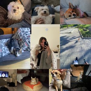 Madalena, pet sitter in Mafra