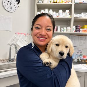 margalit shapiro-katz, pet sitter in Boston