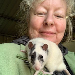 Lisa Jackman