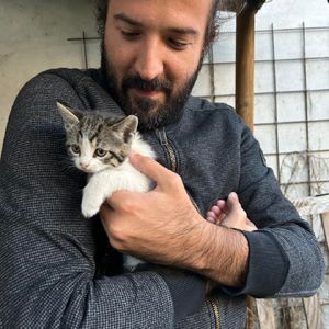 Alessandro