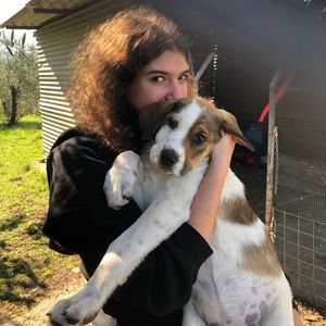 Ilaria