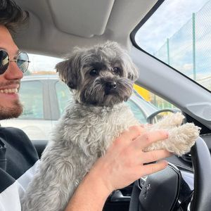 Alessandro