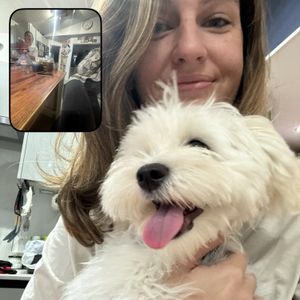 Venezia’s Pet Care