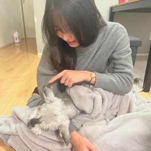 Shiho