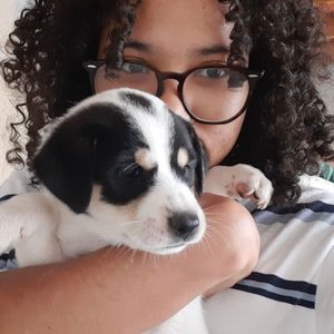 Graziele Morais