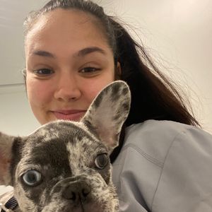 Pawfect_ Mariana